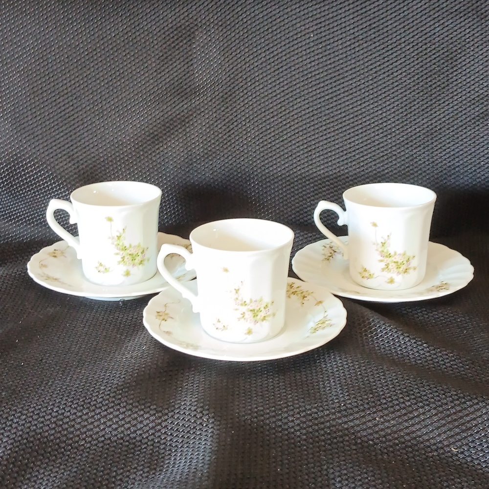 Eschenbach Bavaria Germany Elegant Springtime Pattern Teacup and Saucer set of 3